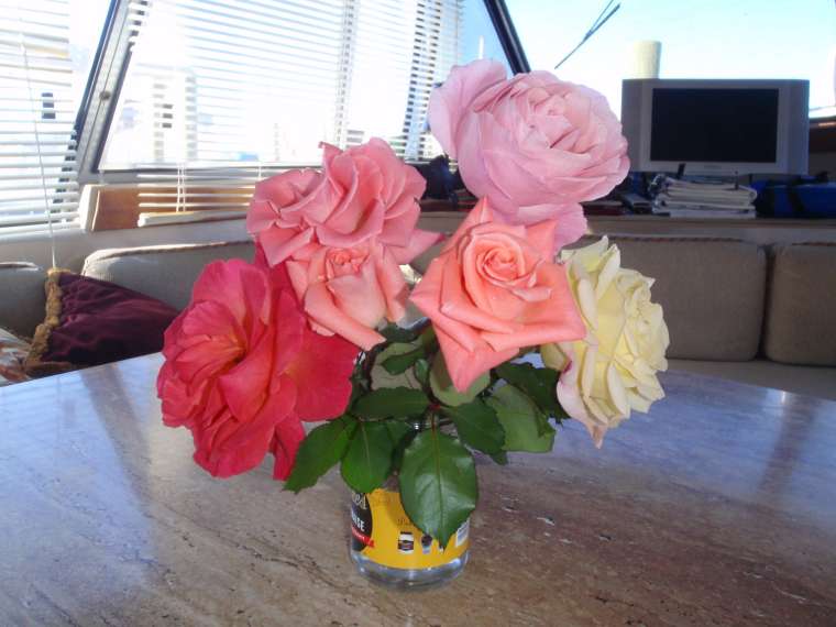 The gorgeous roses from Jean