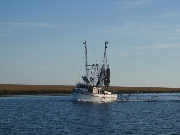 Shrimp fishing boat