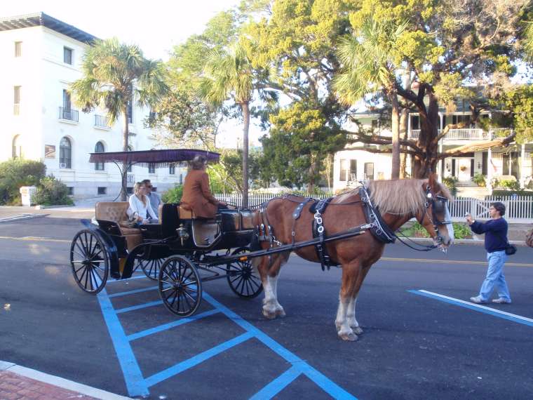 Horse & Carriage tour in Fernandina Beach