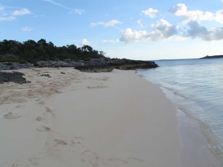 Leaf Is Beach